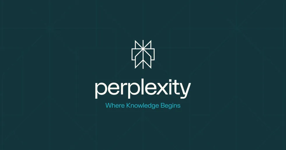 Perplexity