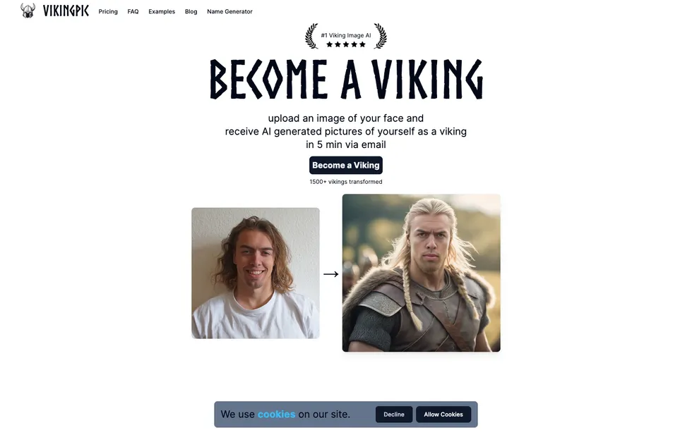 VikingPic